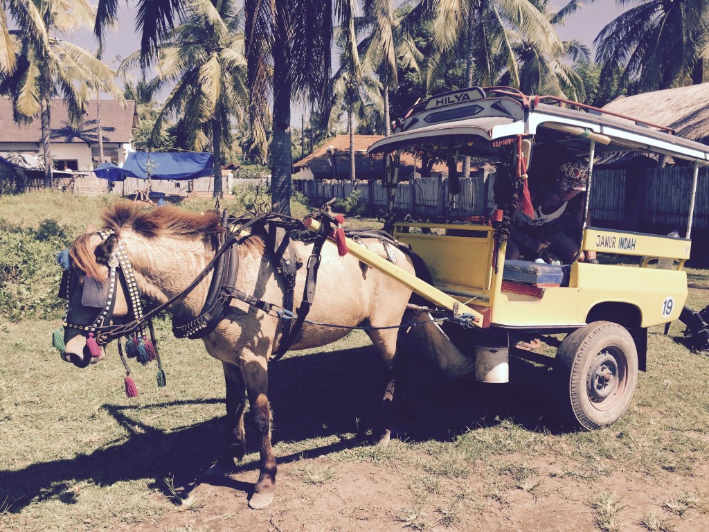 Horse drawn carriages are some of the favorite modes of travel on this island. 