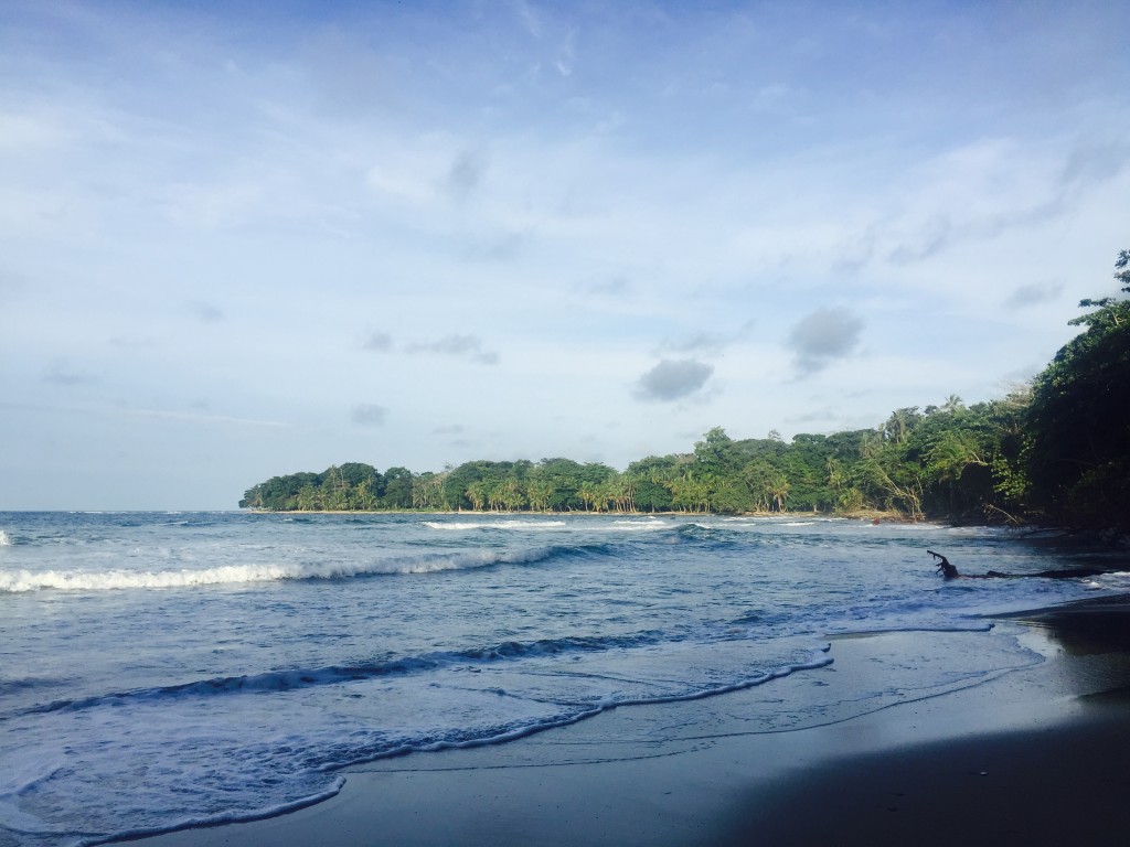 Welcome to beautiful Costa Rica! Caribbean beaches and lush rainforest all around.