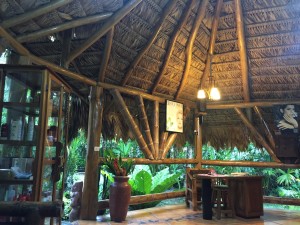 Loved the mixed mediums used in the creation of this space; palms, wood, tile and cement, lots of textures to ignite the senses. 