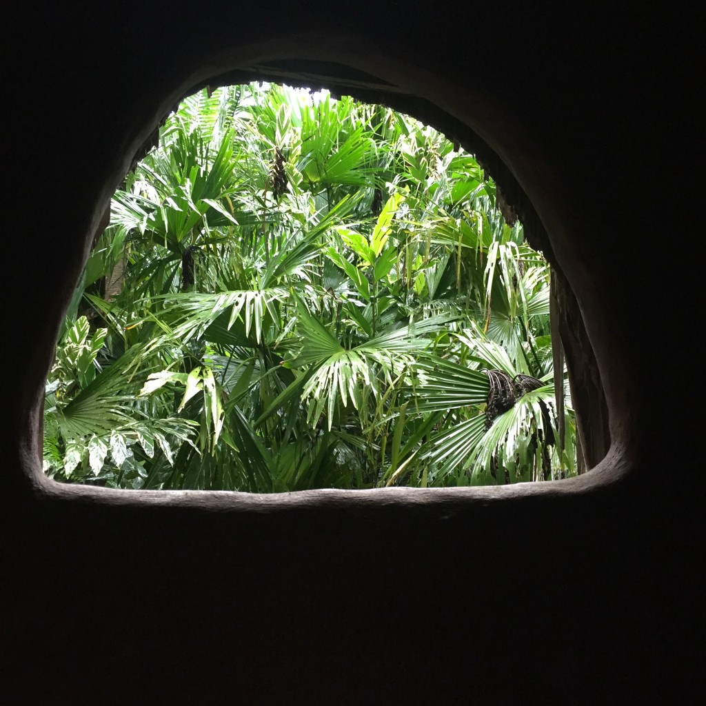 The jungle surrounds Indulgence Spa in Cocles, Costa Rica.