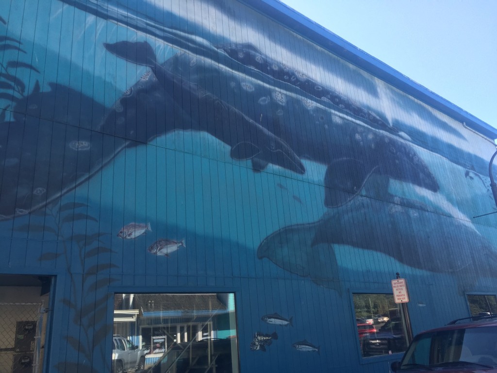 Cool mural in Newport, Oregon, just a neighbor town to Waldport.